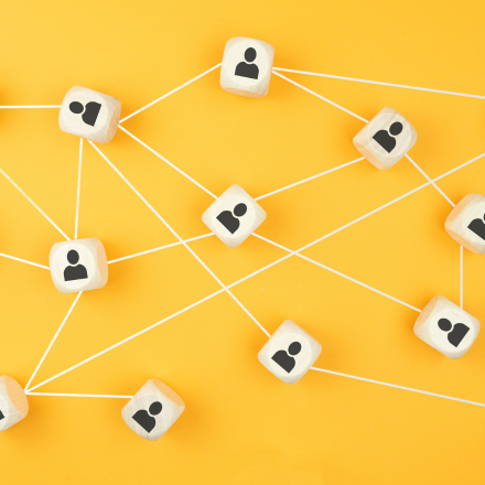 Global Patient Safety Network (GPSN)