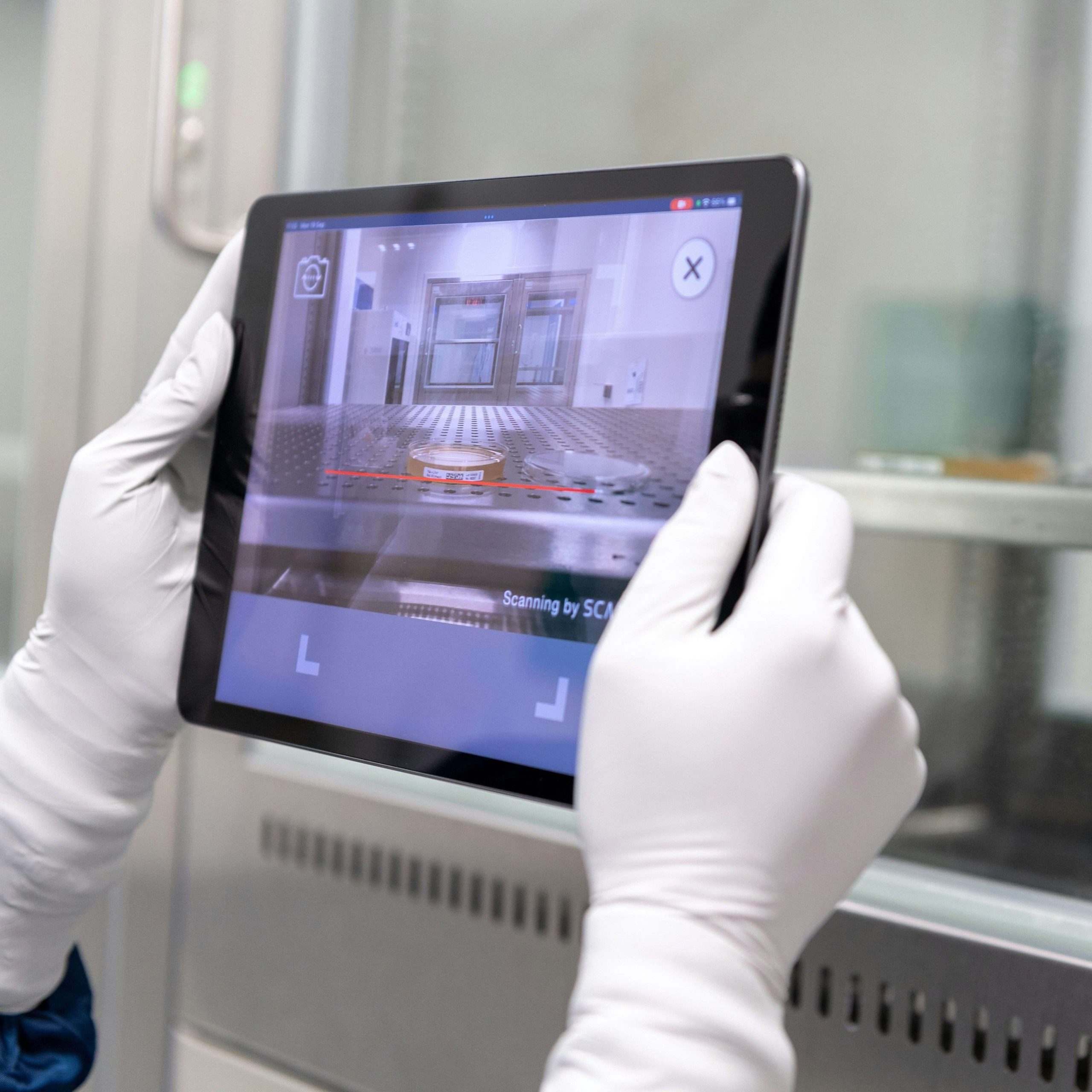 Leading the way: how Italy and Belgium are pioneering the digital ...